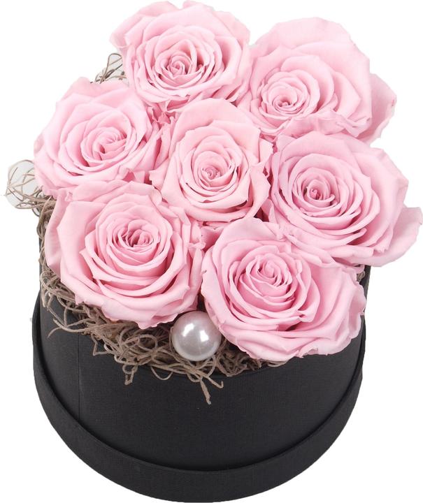 Produktbild Floramall Infinity Rosenbox Rosa Medium (Infinity Blumen, 1x)