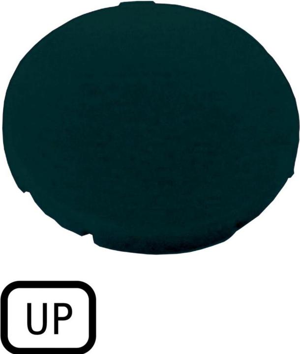 Actual product image Eaton Key plate, flat black, UP 218199