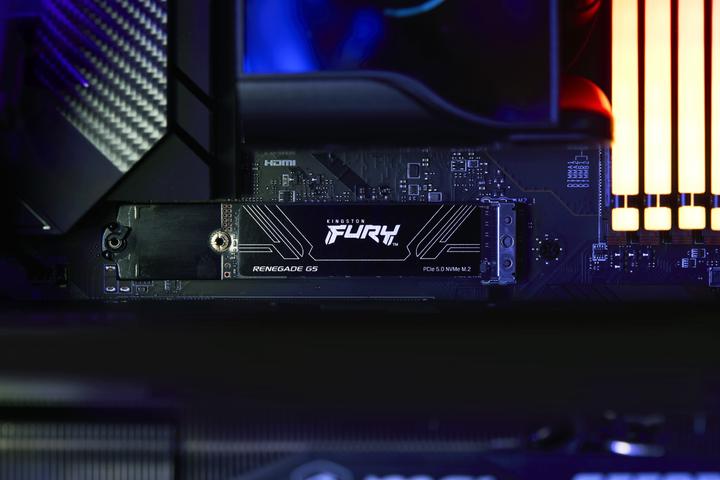 Actual product image Kingston FURY Renegade G5 (1024 GB, M.2 2280)