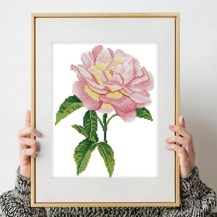 Immagine prodotto Dante DD5.069