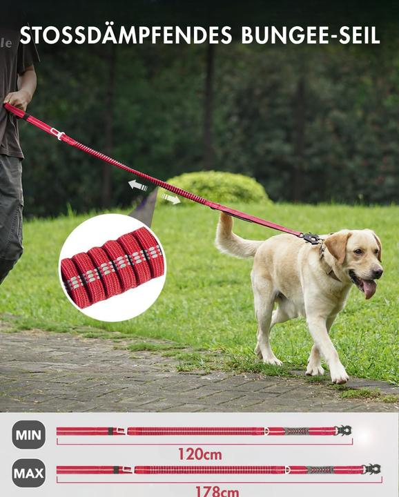 Produktbild Suba Hundeleine mit Sicherheitsgurt (Hund, Allgemein)