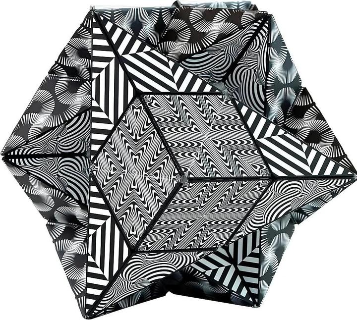 Actual product image Shashibo Magnetic puzzle box (1 Players)