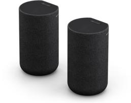 Immagine prodotto Sony SA-RS5 (1 coppia, 180 W)