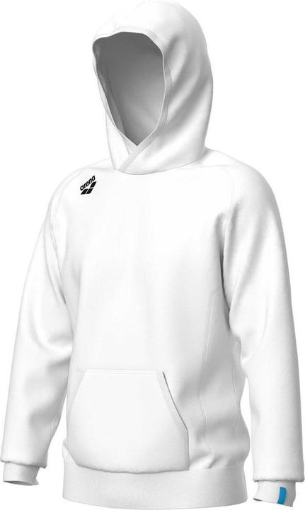 Actual product image Arena Team Hooded Sweat Panel (S)
