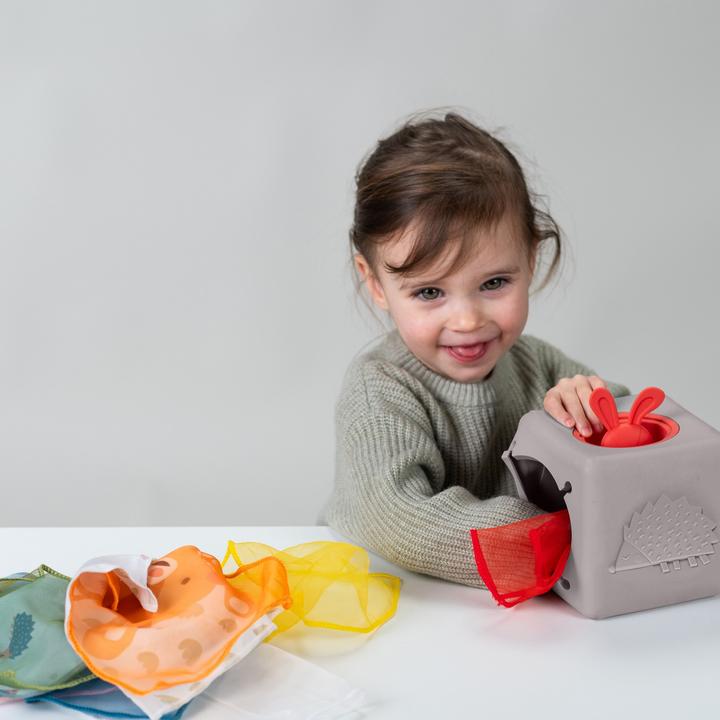 Actual product image Taf Toys Wipes box Pop Up