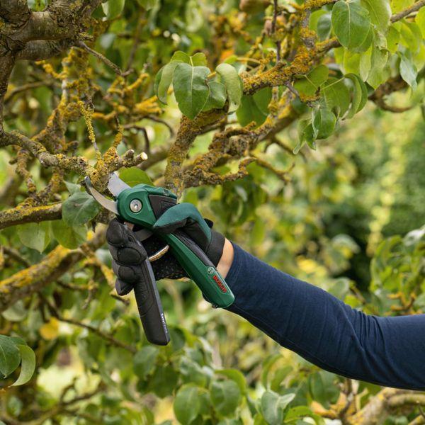 Productafbeelding Bosch Home & Garden Accu-tuinschaar EasyPrune