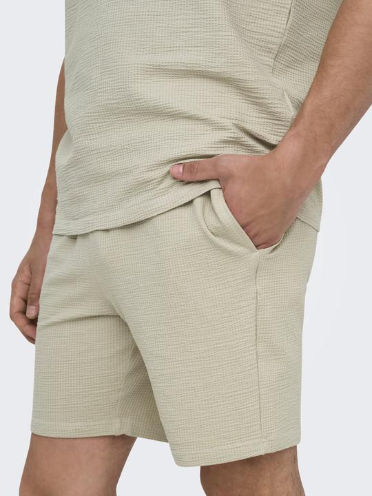 Actual product image Only & Sons Onskian Reg Seersucker Shorts (XS)