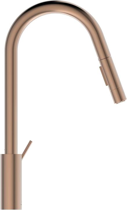 Actual product image Ideal Standard Gusto Ausld.241mm 2F showerhead