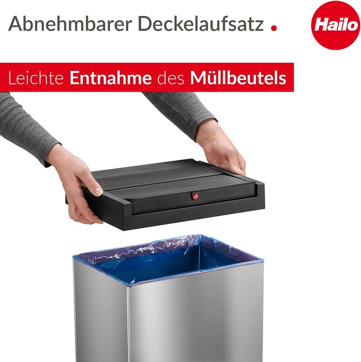 Image du produit Hailo Big-Box Swing (40 l)