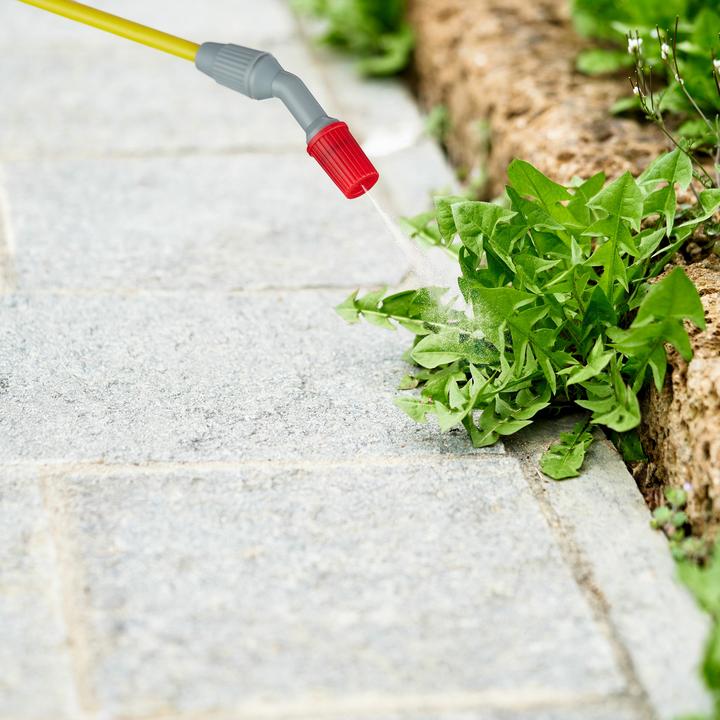 Actual product image Relaxdays Pressure sprayer (5 l)