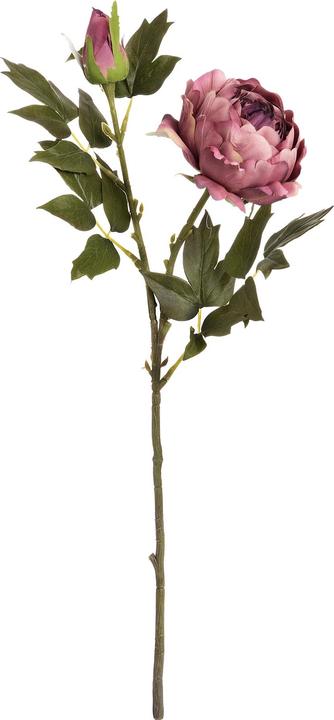 Immagine prodotto Hill Interiors Fiore artificiale Peonia (50 cm)