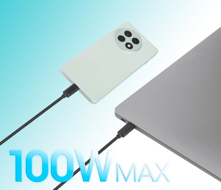 Actual product image Manhattan Dual USB-C Ladekabel 100 W, 2 m (2 m, USB 3.0, 100 W)