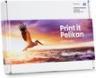 Actual product image Pelikan PGI-550PGBKXL/551XL Multi-Pack B/B/C/M/Y (C, FC, M, Y)
