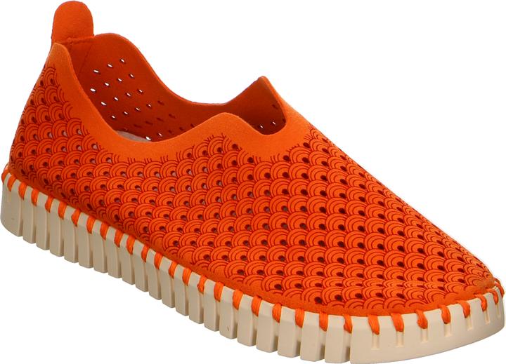 Ilse Jacobsen Camelia (40)