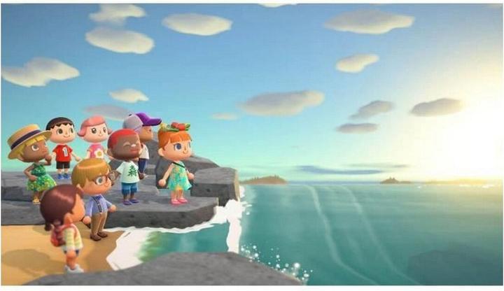 Actual product image Nintendo Animal Crossing: New Horizons (Switch, FR)