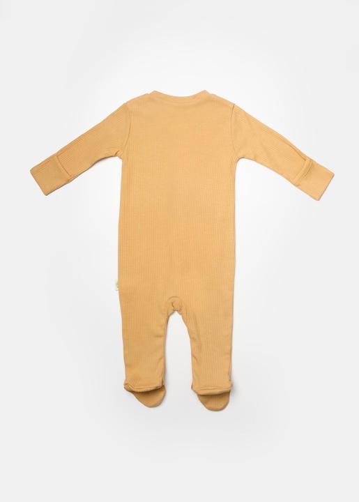 Produktbild BabyCosy Strampler mit Füssen, 2 Pack (56)