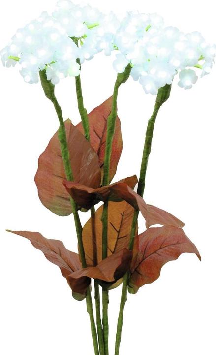Actual product image Europalms Hydrangea, white with flowers, 100 LEDs