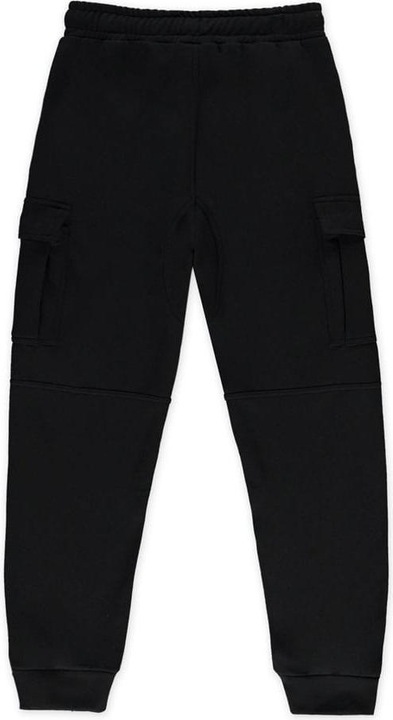 Image du produit Difuzed Assassin's Creed Shadows Jogginghose Ronin Cargo Grösse L (L)