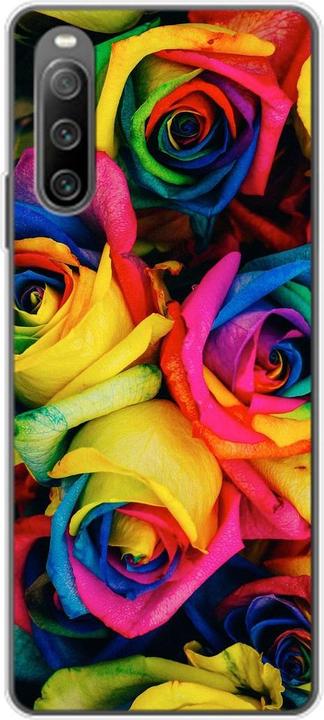 Colourful roses