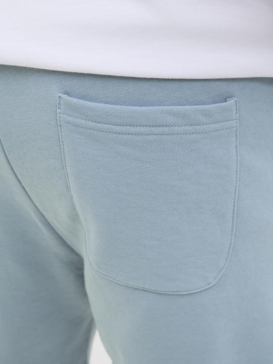 Immagine prodotto Jack & Jones Jpstkane Vesterbro Sweat Shorts Lng Sn (XS)