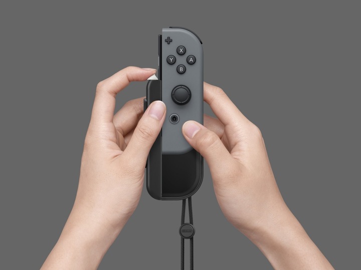 Actual product image Nintendo Joy-Con AA battery accessories set of two (Switch)