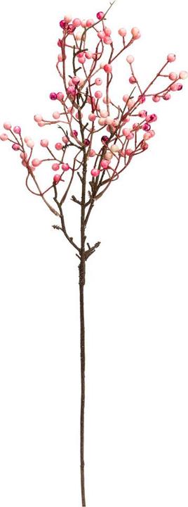 Immagine prodotto Fiebiger Flores