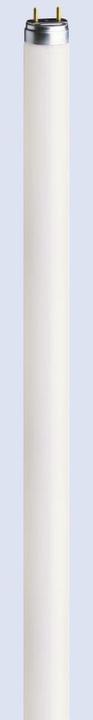 Produktbild Osram Leuchtstofflampe (G5, 8 W, 430 lm, 1 x, A)
