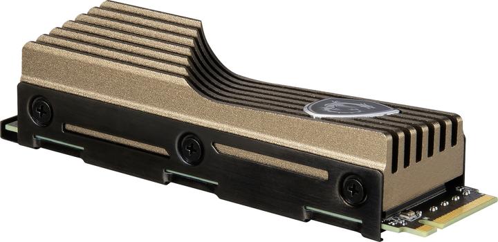 Actual product image MSI Spatium M570 (1000 GB, M.2 2280)