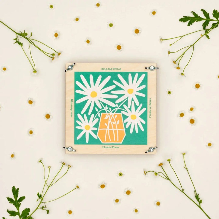 Produktbild Studio Wald Blumenpresse – Gänseblümchen