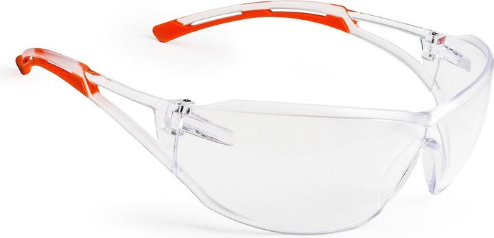 Unico Safety glasses 1100 CSV Transparent