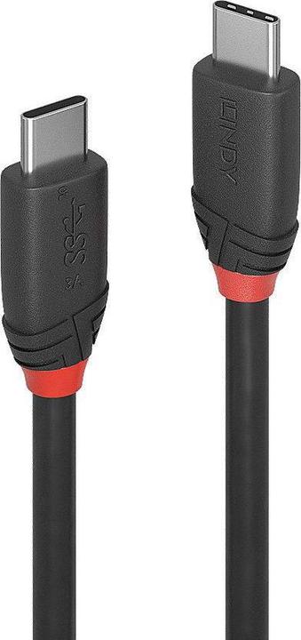 Actual product image Lindy black line (0.50 m, USB 3.1, 60 W)