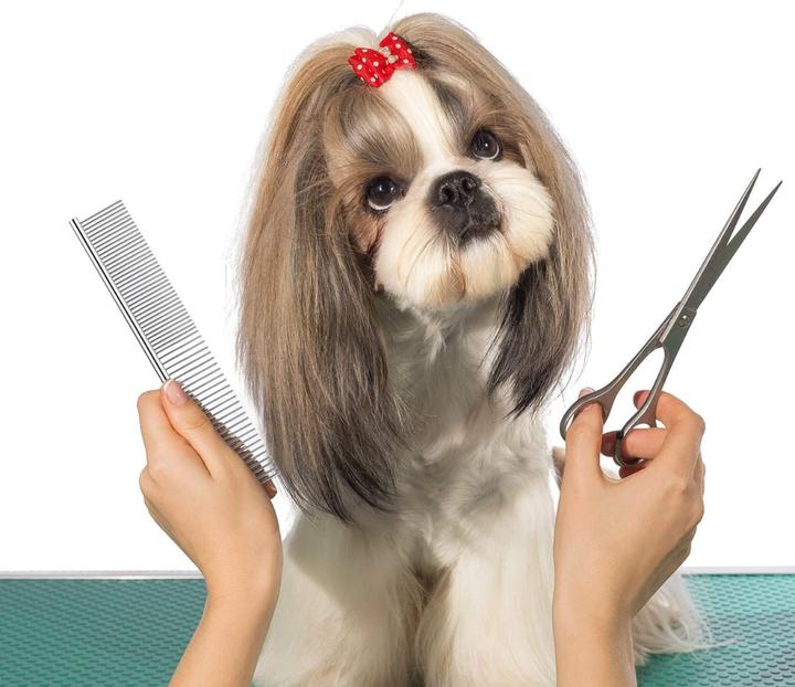 Image du produit Suba Peigne pour poils (Chat, Chien)