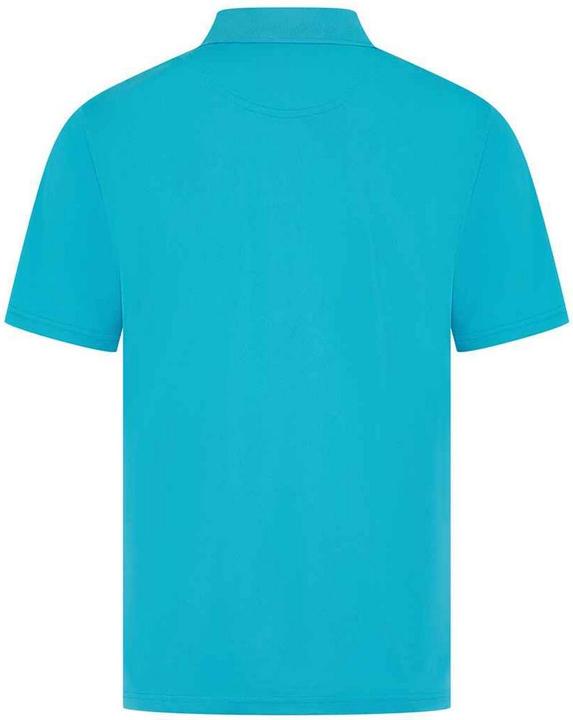 Immagine prodotto Henbury Maglietta Polo Uomo (XL)