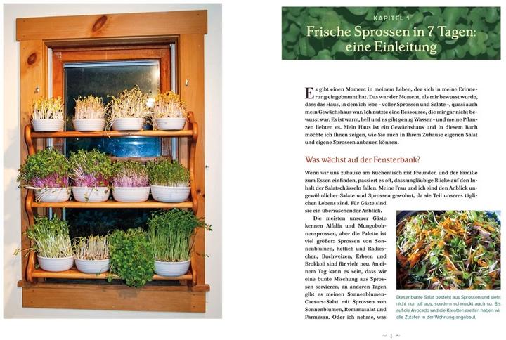 Produktbild Der Salatgarten für zuhause (Deutsch, Peter Burke, 2016)