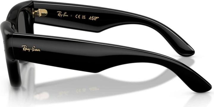 Actual product image Ray Ban Wayfarer buffer