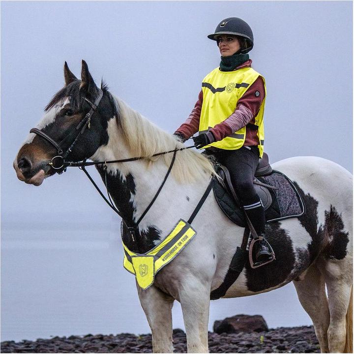 Image du produit Soulhorse Avant-train lumineux