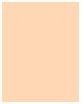 Actual product image MAC Cosmetics Studio Fix 24-Hour Smooth Wear Concealer (No. NC10)