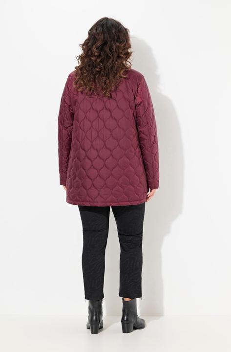 Produktbild Ulla Popken HYPRAR Steppjacke, wasserabweisend, Stehkragen (42, 44)