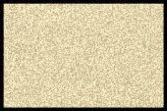 Kleen-Tex Paillasson Wash+Dry Uni Champagne, 50x75cm (50 x 75 cm)