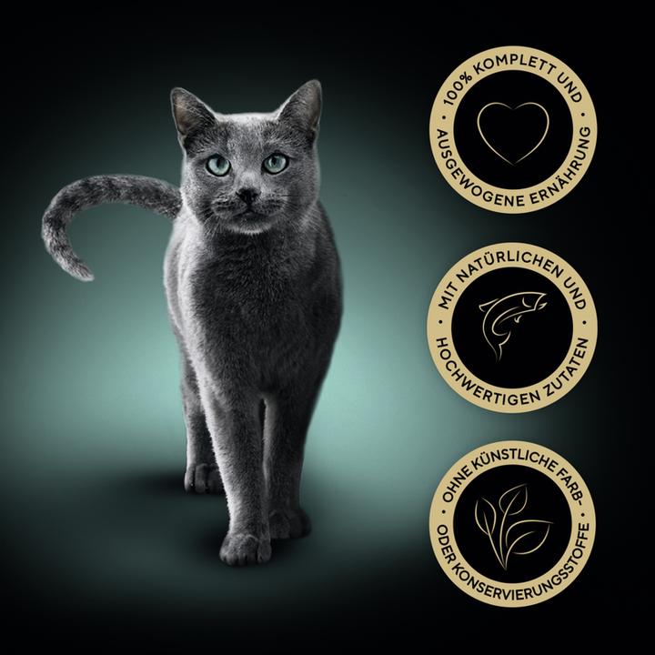 Immagine prodotto Sheba Classica ciotola di paté di salmone MSC (Adulto, 22 pz., 1870 g)