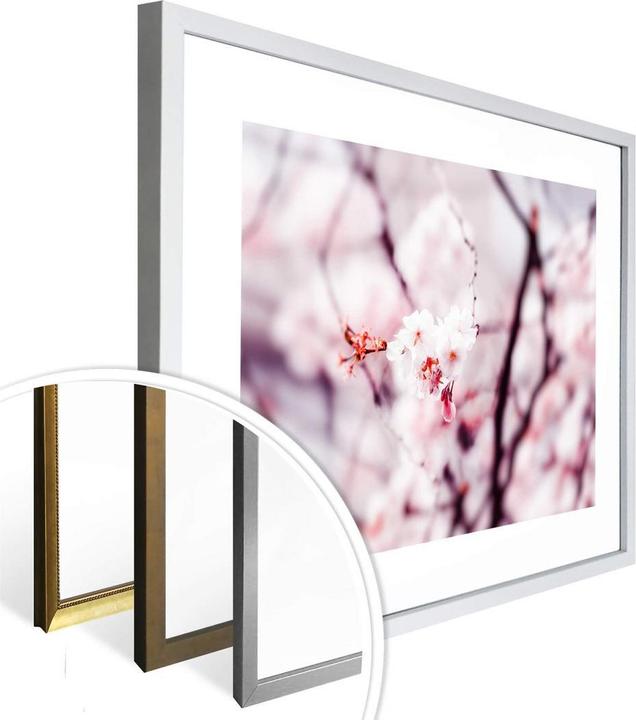 Produktbild Trenddeko Kirschblüte 02 (80 x 60 cm)