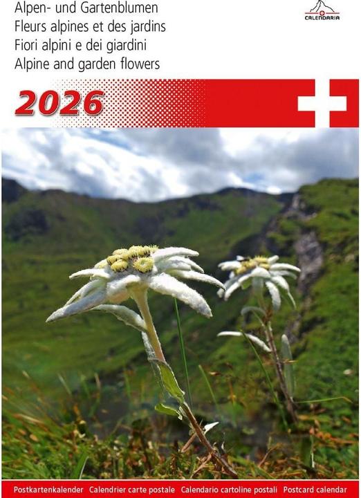 Actual product image Alpen- und Gartenblumen 2026