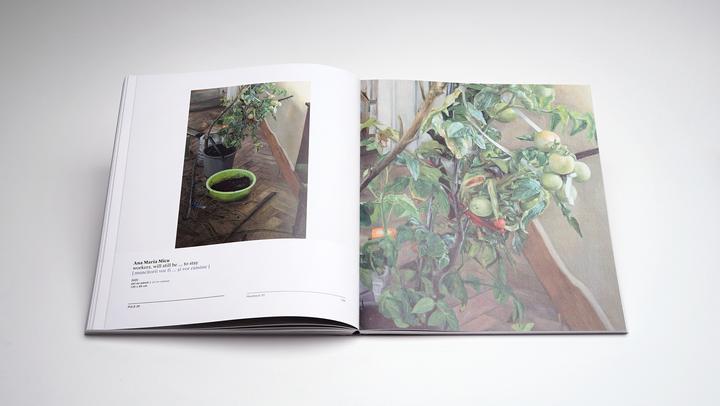 Actual product image Puls 20 (English, Romanian, Călin Dan, Calin Demetrescu Dan, Ruxandra Demetrescu, Simona Vilău, 2024)