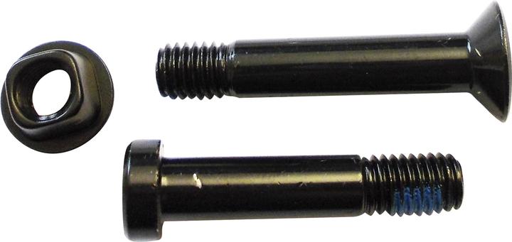Actual product image BiXS Damper screws STSF05/06