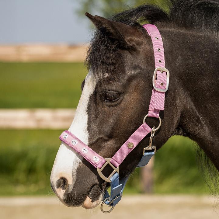 Image du produit Qhp Rosalynn