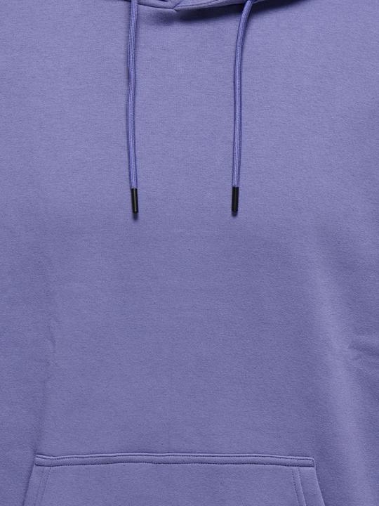 Produktbild Only & Sons Onsceres Hoodie Sweat Noos (S)