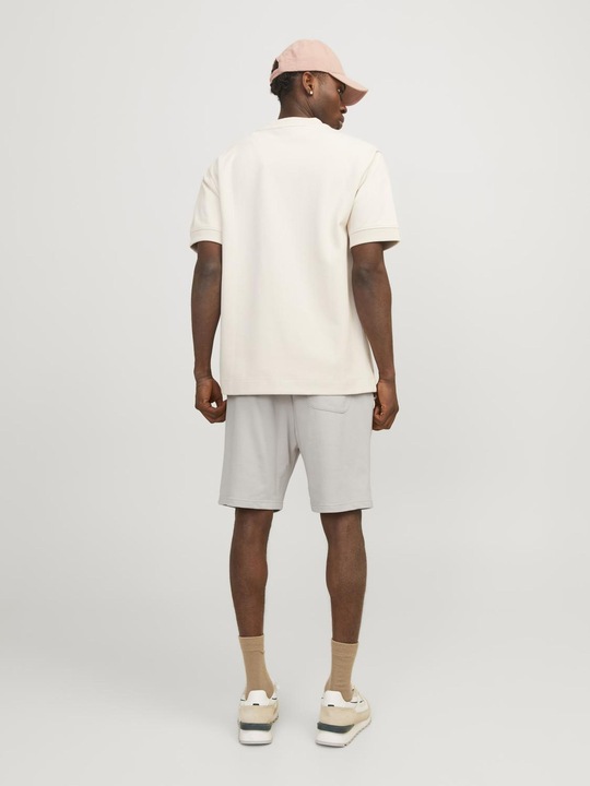 Actual product image Jack & Jones Jpstkane Jjvesterbro Sweat Shorts Gms Sn (S)