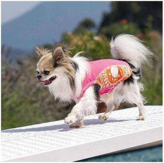 Immagine prodotto Croci Amtra Top Parasole Anti-UV (50, Maglione per cani)