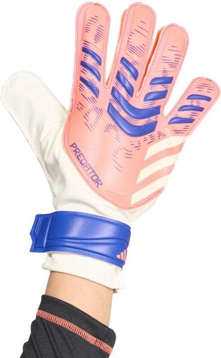 Produktbild Adidas Predator Trainings-Torwarthandschuhe (11.5)