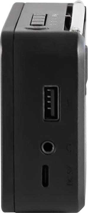 Produktbild Telestar Top 100 (FM, DAB+, Bluetooth)
